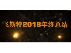 飛斯特汽車科技2018年度總結視頻